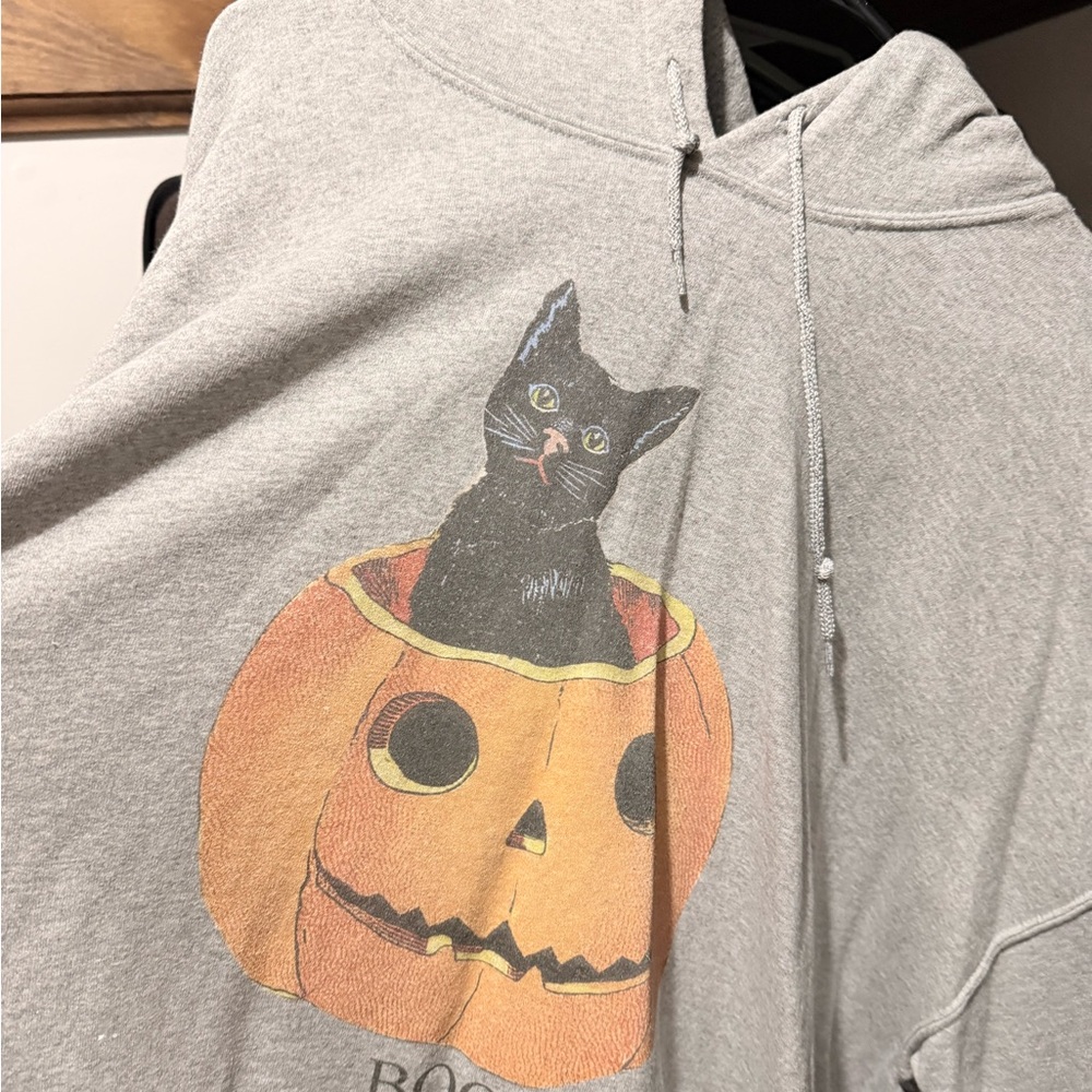 Gray Cat Hoodie with Pumpkin Design
